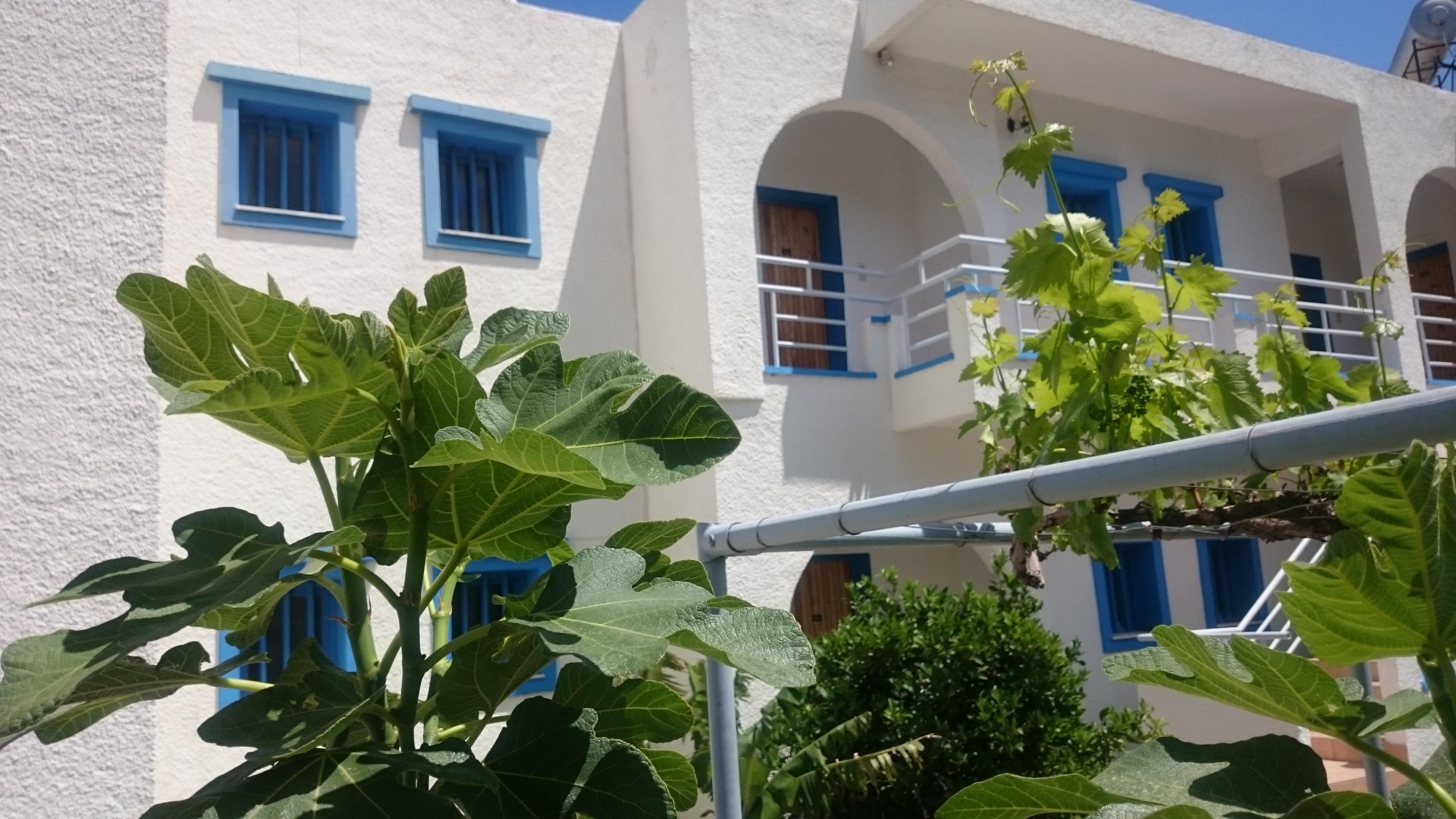 Amazones Villas Apartments Hersonissos  Exterior foto